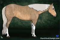 Horse Color:Silver Buckskin Sabino Tobiano Brindle