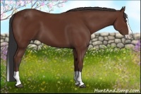 Horse Color:Bay Splash 