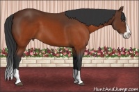 Horse Color:Brown Splash