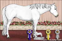 Horse Color:Gray Buckskin Dun Splash