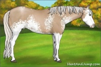Horse Color:White Spotted Silver Black Pearl Splash