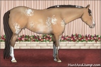 Horse Color:White Spotted Sable Champagne Sabino Splash Frame