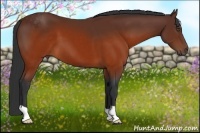Horse Color:Brown 