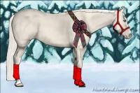 Horse Color:Cremello 
