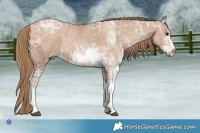 Horse Color:Black Ice Pearl Sabino 