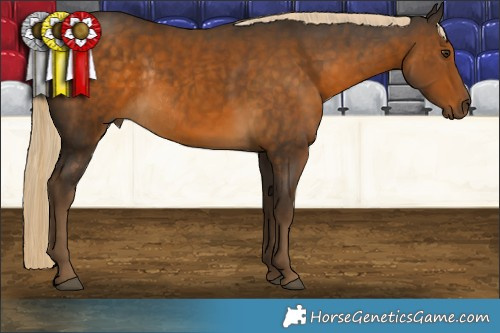 Horse Color:Chocolate Palomino Rabicano 