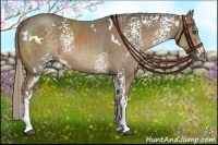 Horse Color:White Spotted Chocolate Palomino