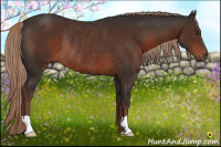 Horse Color:Liver Chestnut Rabicano 