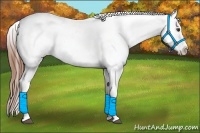 Horse Color:Chestnut Tobiano Varnish 