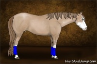 Horse Color:Black Pearl Sabino