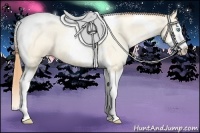 Horse Color:Amber Cream Champagne Roan Pearl Splash Tobiano 