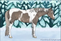 Horse Color:White Spotted Silver Black Tobiano 