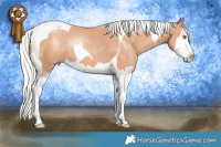 Horse Color:Silver Sable Champagne Splash Tobiano 