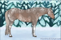 Horse Color:Silver Black Ice Sabino Tobiano 