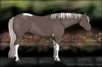 Horse Color:Silver Black Sabino Tobiano