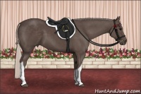 Horse Color:Silver Black Tobiano 