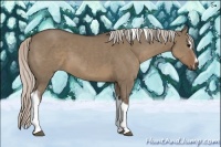 Horse Color:Silver Grullo Sabino Tobiano