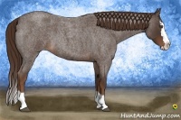 Horse Color:Liver Red Roan Splash