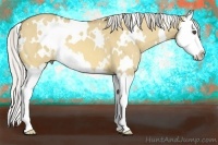 Horse Color:White Spotted Silver Buckskin Dun Splash 