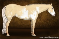 Horse Color:White Spotted Silver Amber Champagne Dun Splash Frame 