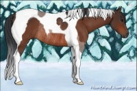 Horse Color:Bay Tobiano Rabicano 