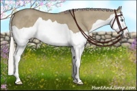Horse Color:Silver Smoky Grullo Splash 
