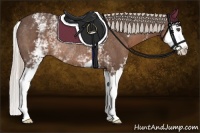 Horse Color:White Spotted Silver Black Splash Rabicano