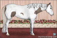 Horse Color:Silver Smoky Black Splash Tobiano