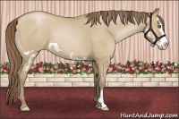 Horse Color:Grullo Pearl Splash Frame 