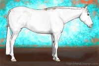 Horse Color:Silver Black Pearl Sabino Rabicano 