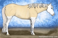 Horse Color:Silver Classic Cream Champagne Dun Splash Rabicano