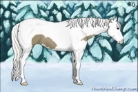 Horse Color:Silver Smoky Black Splash Tobiano 