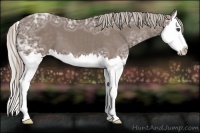 Horse Color:Silver Black Ice Sabino Splash 