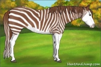 Horse Color:Chestnut Splash 