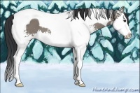 Horse Color:White Spotted Grullo Splash Tobiano
