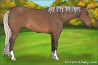 Horse Color:Silver Brown Frame 