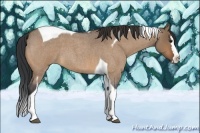 Horse Color:Bay Roan Dun Splash Tobiano