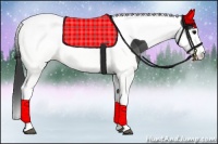 Horse Color:Black Tobiano