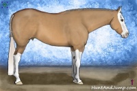 Horse Color:Silver Bay Dun Splash