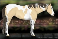 Horse Color:Amber Cream Champagne Splash Tobiano 