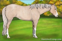 Horse Color:Silver Classic Champagne Roan Sabino 