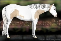 Horse Color:Silver Buckskin Roan Splash Tobiano 