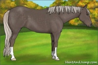 Horse Color:Silver Black 