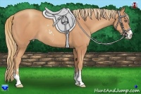 Horse Color:Gold Champagne Sabino