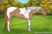 Horse Color:Chestnut Tobiano