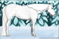 Horse Color:Silver Amber Champagne Dun Sabino Splash Tobiano Blanket Rabicano 