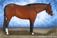 Horse Color:Brown Sabino 