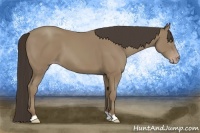 Horse Color:Classic Champagne 