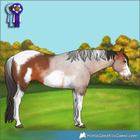 Horse Color:Brown Sabino Tobiano Frame 