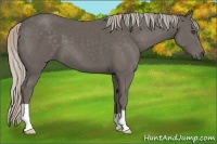 Horse Color:Silver Black